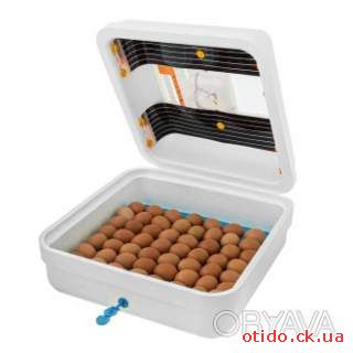 Инкубатор «Рябушка Smart» на 70 яиц (аналоговый терморегулятор) с механическим