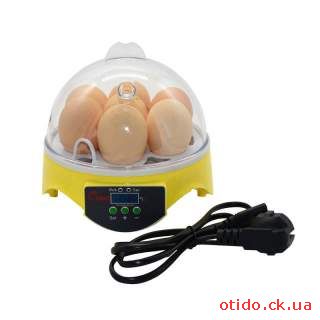 Инкубатор на 7 яиц для домашней инкубации и педагогических эксперимент