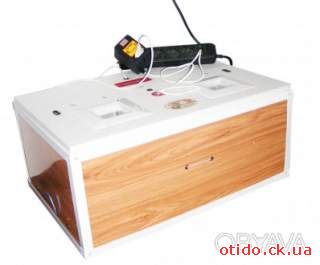 Инкубатор цифровой «Курочка Ряба» ИБ-100 с металлическим каркасом в