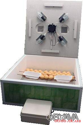 Инкубатор автоматический «Курочка Ряба» ИБ-130Ц с вентилятором