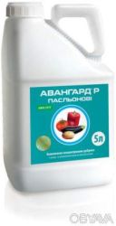 Добрива комплексні Авангард&reg; Пасльонові