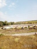 Продам фермерське господарство / виробниче приміщення