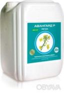 Добрива Авангард&reg; Ріпак