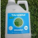 Прилипач Тандем