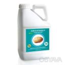 Добрива комплексні Авангард&reg; Картопля