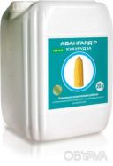 Добрива Авангард&reg; Кукурудза