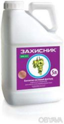 Фунгіцид Захисник / Топсин