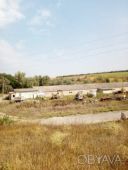 Продам фермерське господарство / виробниче приміщення