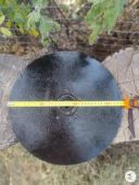 Диск сошника з ступицею в зборі.Виробництво срср.