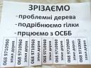 Зрізаємо: проблемні дерева; подрібнюємо гілки; працюємо з ОСББ. 	