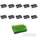 Набор из 10 лотков (поддонов) для рассады 38х26х7 см