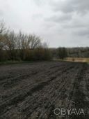 Продам земельный участок.