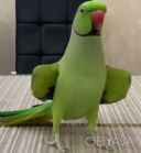 Ожерелки для детей и взрослых