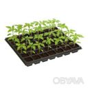 Кассета для рассады на 35 ячеек Уценка