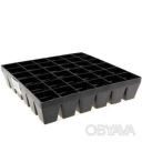 Кассета для рассады на 36 ячеек 19.5 &times; 19.5 &times; 4.5 см