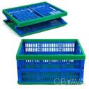 Ящик раскладной пластиковый (48.8х35.5х23.5 см) 15 кг (1 сорт)