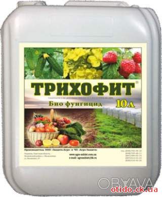 Биологический фунгицид Трихофит