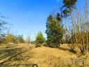 Ділянка с. Коробівка