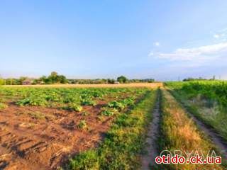 Ділянка з старим Будинком