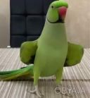Ожерелки для детей и взрослых