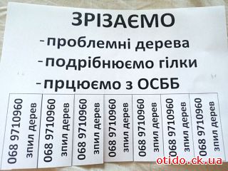 Зрізаємо: проблемні дерева; подрібнюємо гілки; працюємо з ОСББ. 	