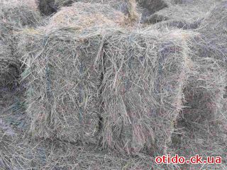 Сіно в тюках для худоби