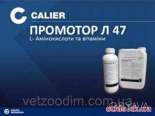 Промотор L 47 10 мл розчин для перорального застосування