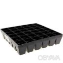 Кассета для рассады на 36 ячеек 19.5 &times; 19.5 &times; 4.5 см