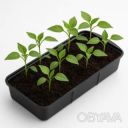 Лоток (поддон) для рассады 2.2 литра 38х16х6.5 см