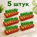 Набор из 5 пластиковых лотков для выращивания зелёного лука и рассады с