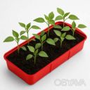 Лоток цветной (поддон) для рассады, растений
