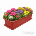 Балконный ящик для выращивания рассады