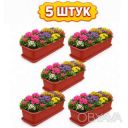 Набор из 5 ящиков балконных для выращивания рассады